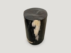 Andrianna Shamaris Impressive Super Smooth Petrified Wood Side Table
