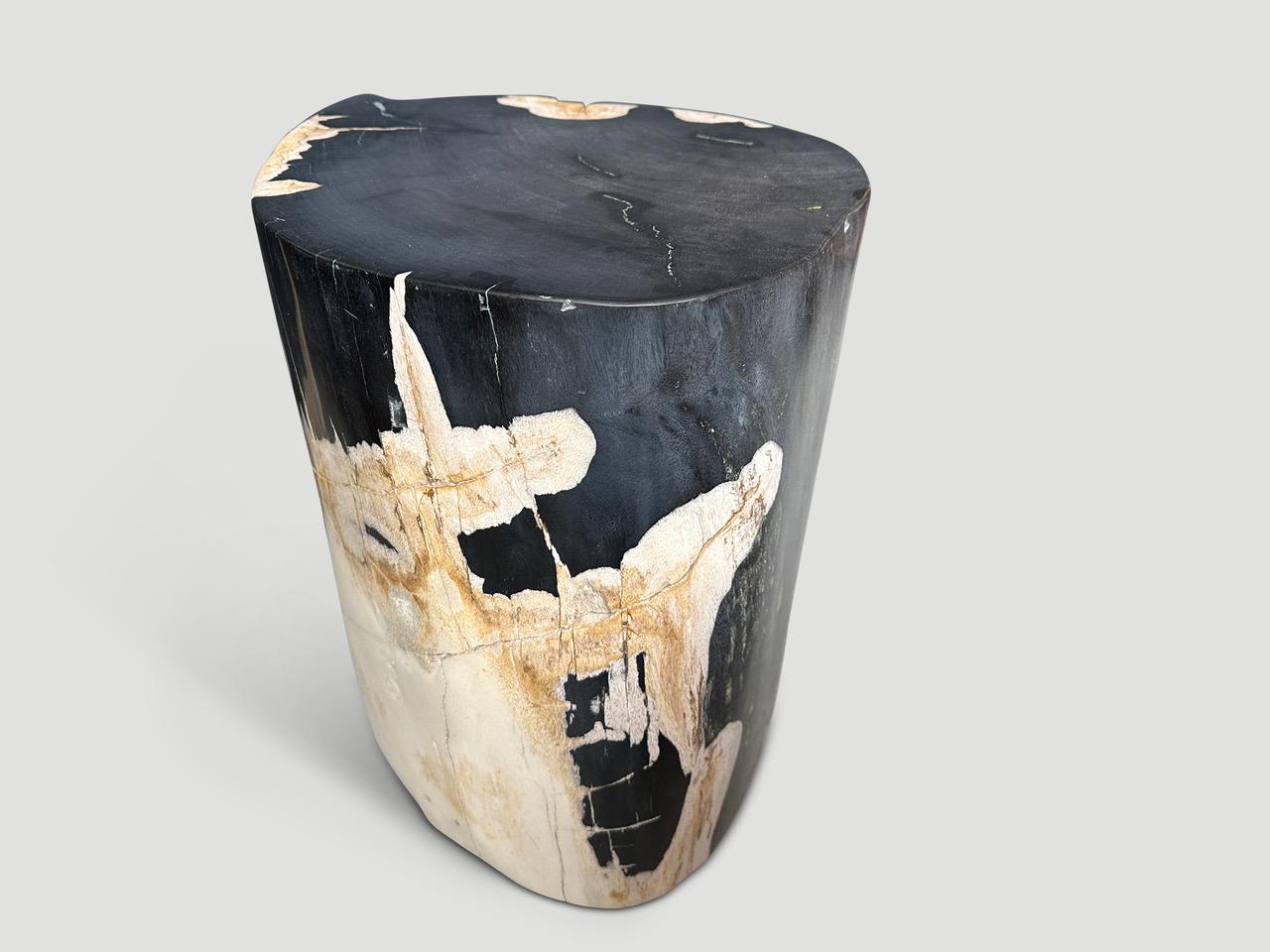 Impressive beautiful contrasting tones and markings on this high quality super smooth, petrified wood side table. It’s fascinating how Mother Nature produces these stunning 40 million year old petrified teak logs with such contrasting colors and
