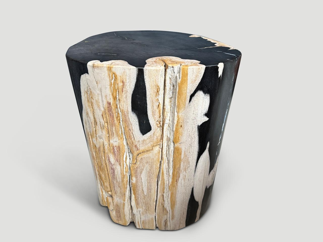 Organic Modern Andrianna Shamaris Impressive Super Smooth Petrified Wood Side Table For Sale