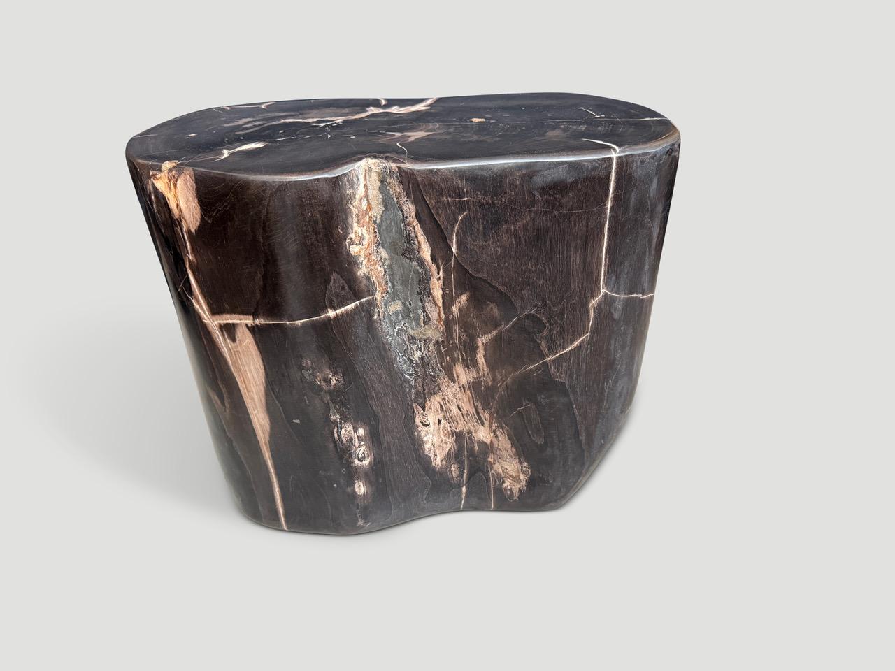Andrianna Shamaris Impresionante mesa auxiliar de madera petrificada superlisa Moderno orgánico en venta