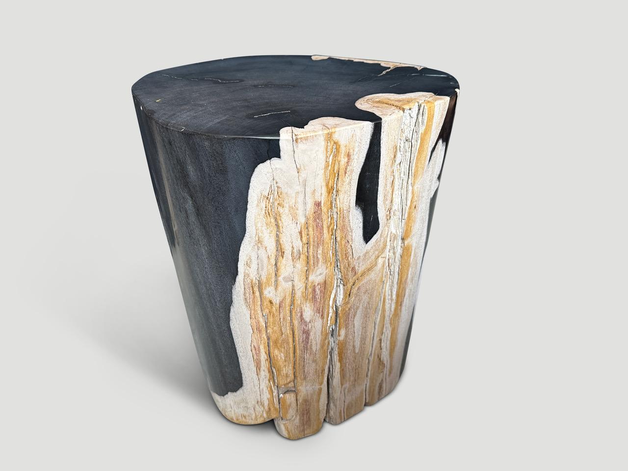 Andrianna Shamaris Impressive Super Smooth Petrified Wood Side Table In Excellent Condition For Sale In New York, NY