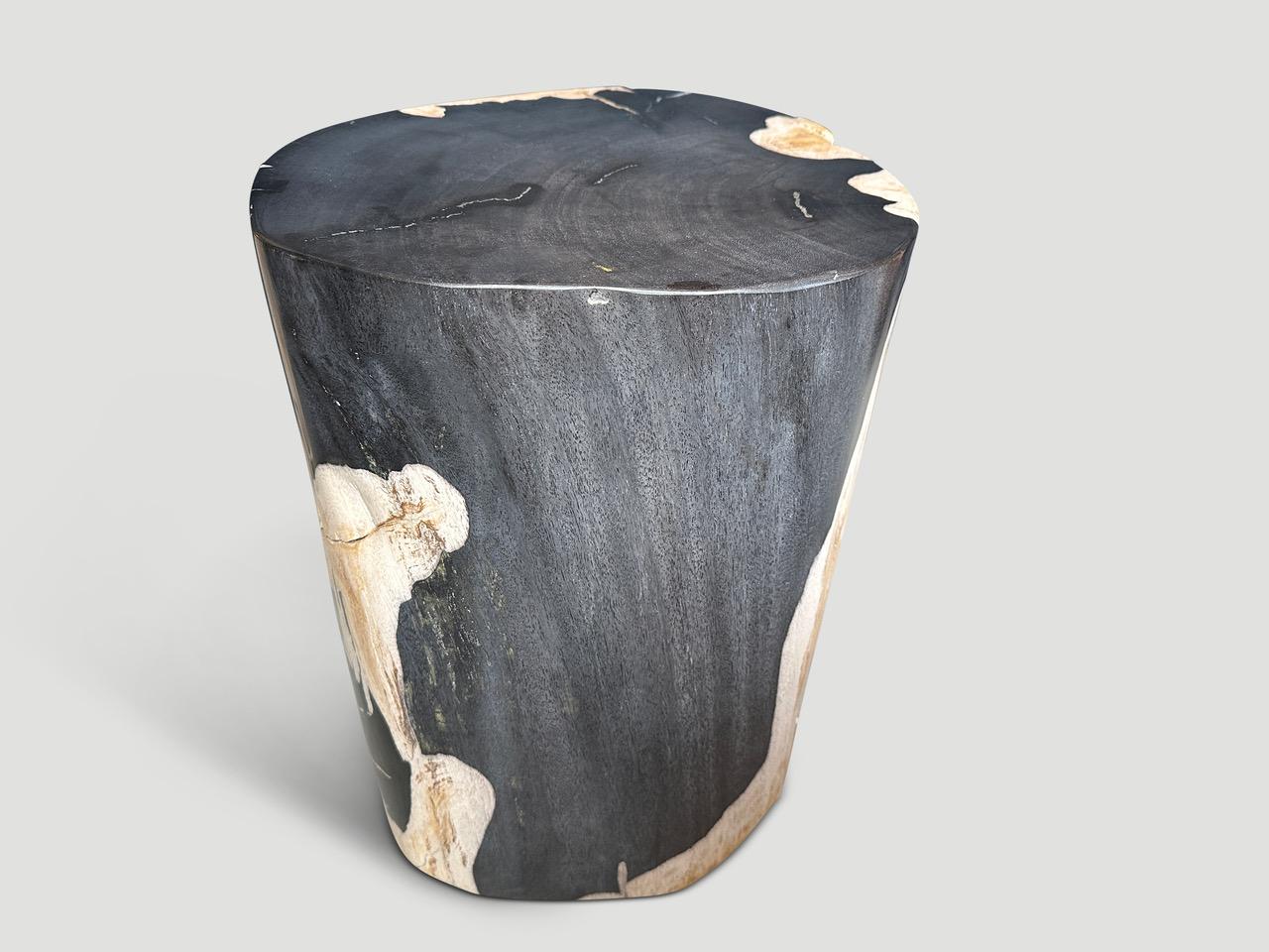 Contemporary Andrianna Shamaris Impressive Super Smooth Petrified Wood Side Table For Sale