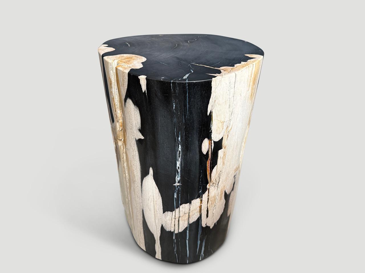 Andrianna Shamaris Impressive Super Smooth Petrified Wood Side Table For Sale 1