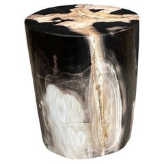 Andrianna Shamaris Impressive Super Smooth Petrified Wood Side Table