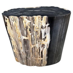 Andrianna Shamaris Impressive Super Smooth Petrified Wood Side Table
