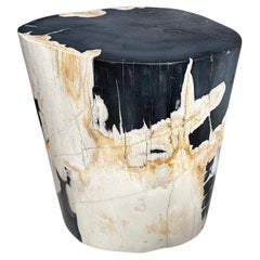 Andrianna Shamaris Impressive Super Smooth Petrified Wood Side Table
