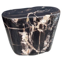 Andrianna Shamaris Impresionante mesa auxiliar de madera petrificada superlisa