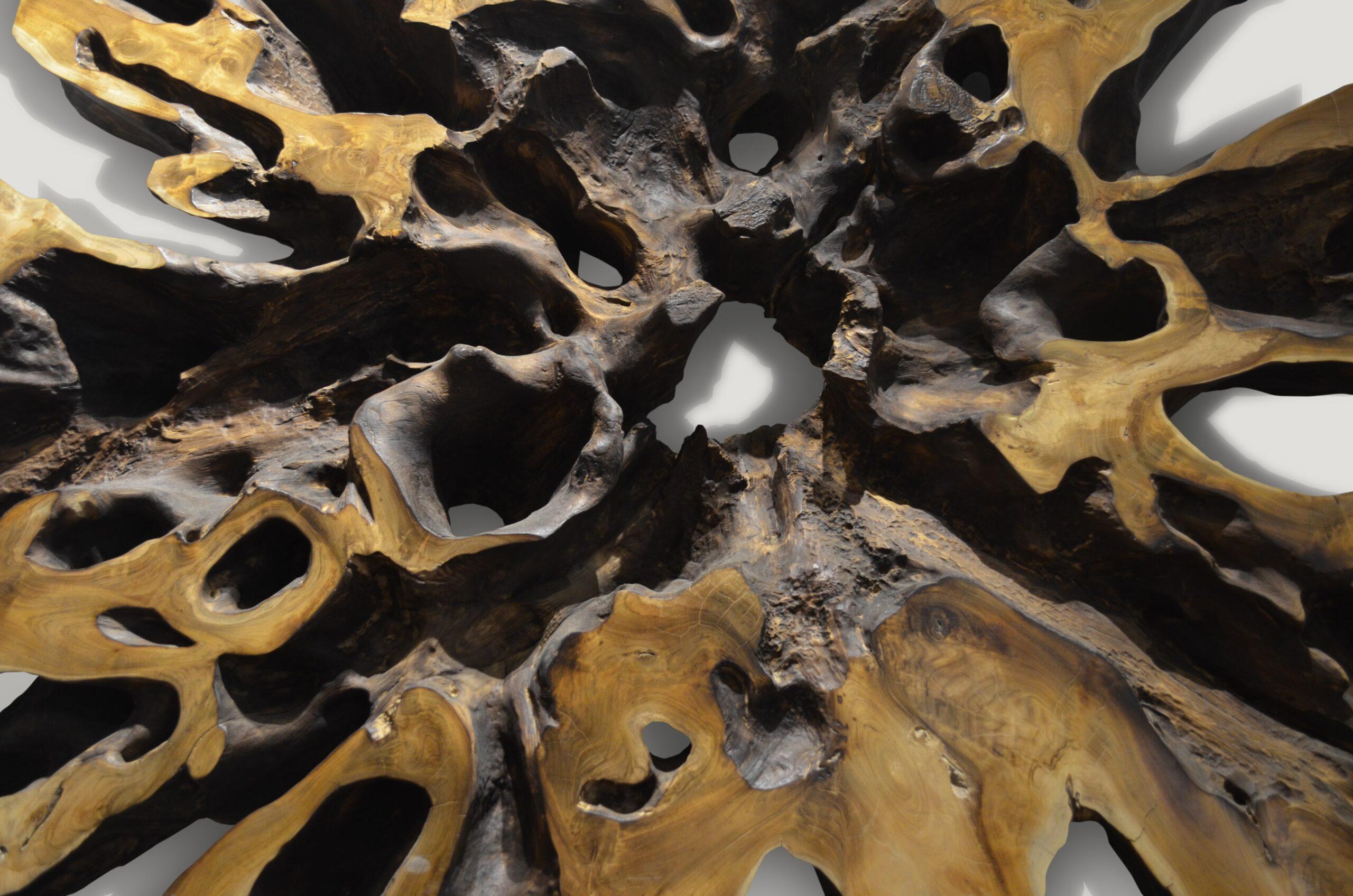 Andrianna Shamaris Impresionante mesa de centro o de arte de raíz de madera de teca Siglo XXI y contemporáneo en venta