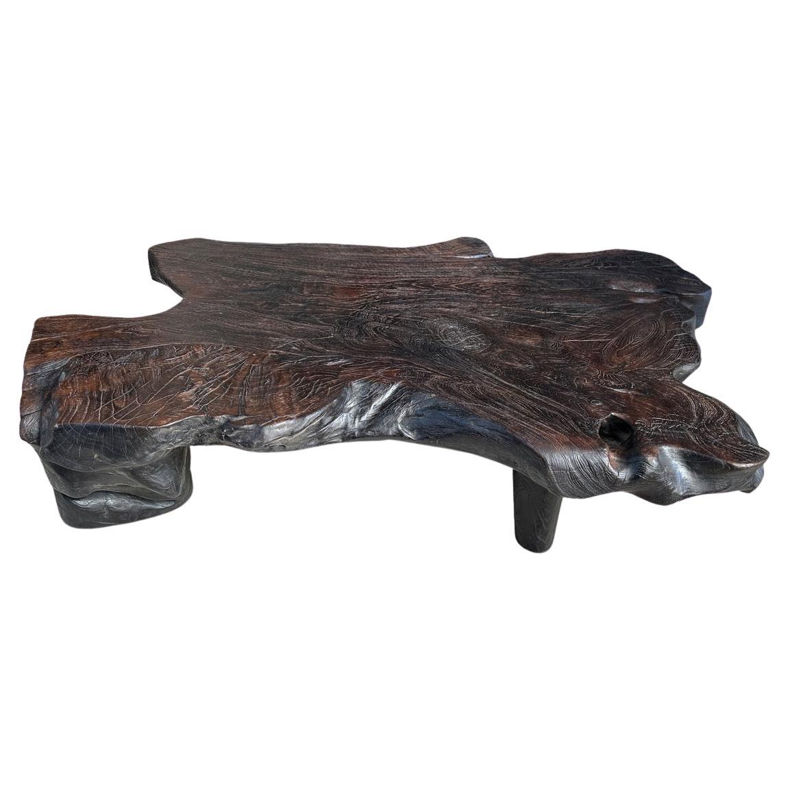 Andrianna Shamaris Impressive Teak Wood Root Coffee Table