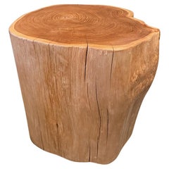 Andrianna Shamaris Impresionante mesa auxiliar de madera de teca