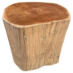 Impressionnante table d'appoint Andrianna Shamaris en teck