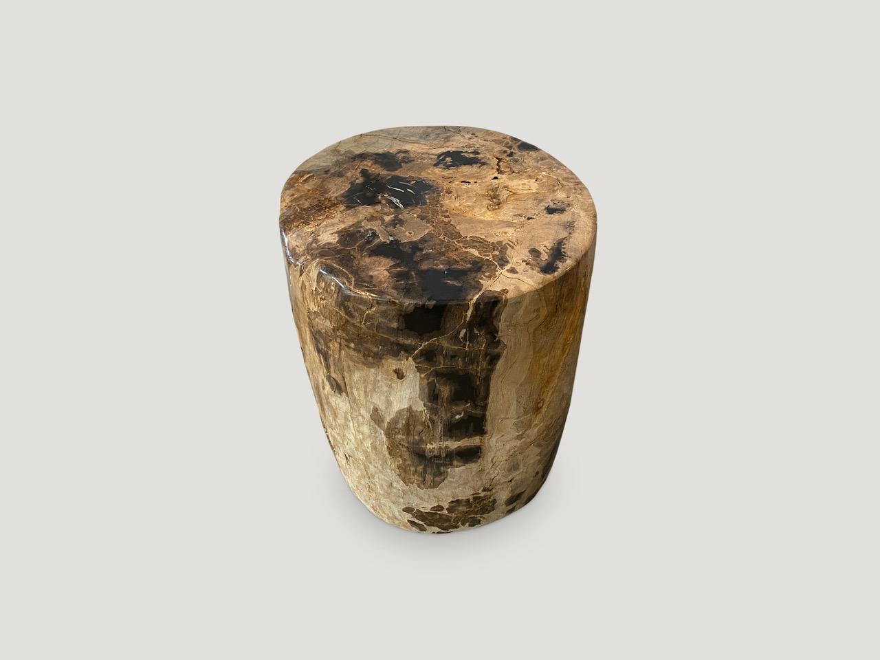 Stunning earth tones on this high quality petrified wood side table. It’s fascinating how Mother Nature produces these exquisite 40 million year old petrified teak logs with such contrasting colors and natural patterns throughout. Modern yet with so