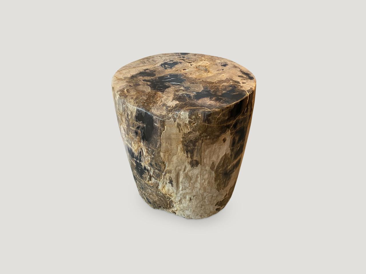 Impressionnante table d'appoint Andrianna Shamaris en bois pétrifié de haute qualité dans les tons de tigre Excellent état - En vente à New York, NY