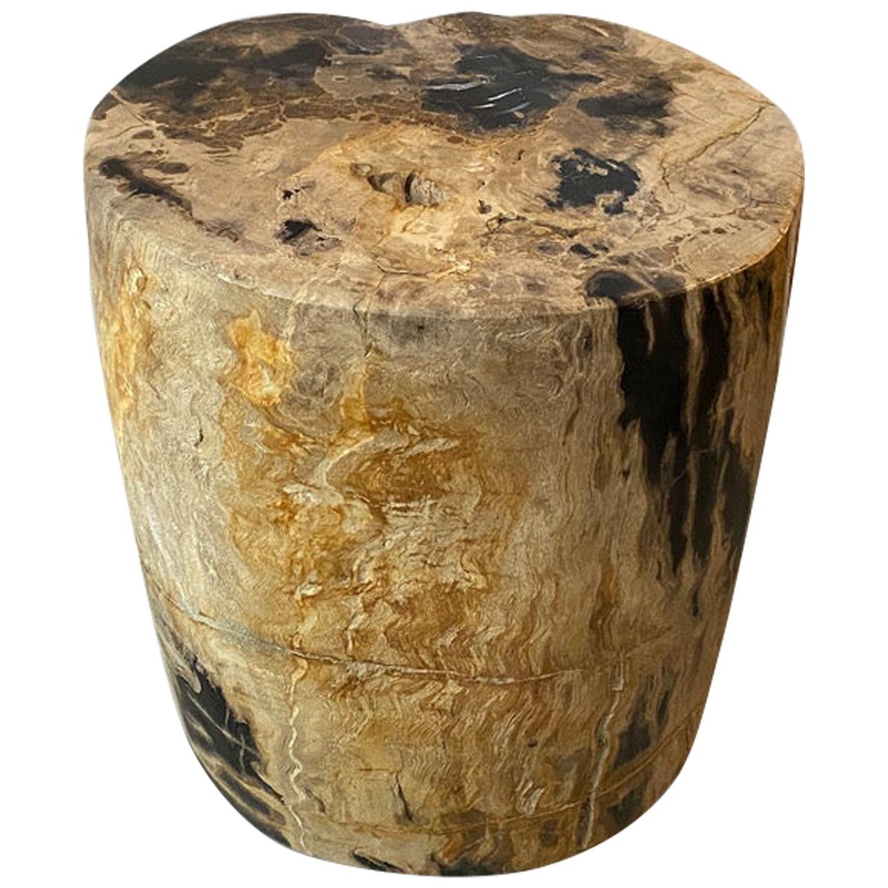 Andrianna Shamaris Impressive Tiger Toned High Quality Petrified Wood Side Table For Sale