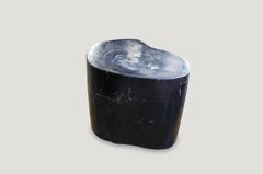 Andrianna Shamaris Indigo and Black Super Smooth Petrified Wood Side Table