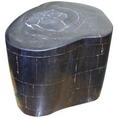 Antique Andrianna Shamaris Indigo and Black Super Smooth Petrified Wood Side Table