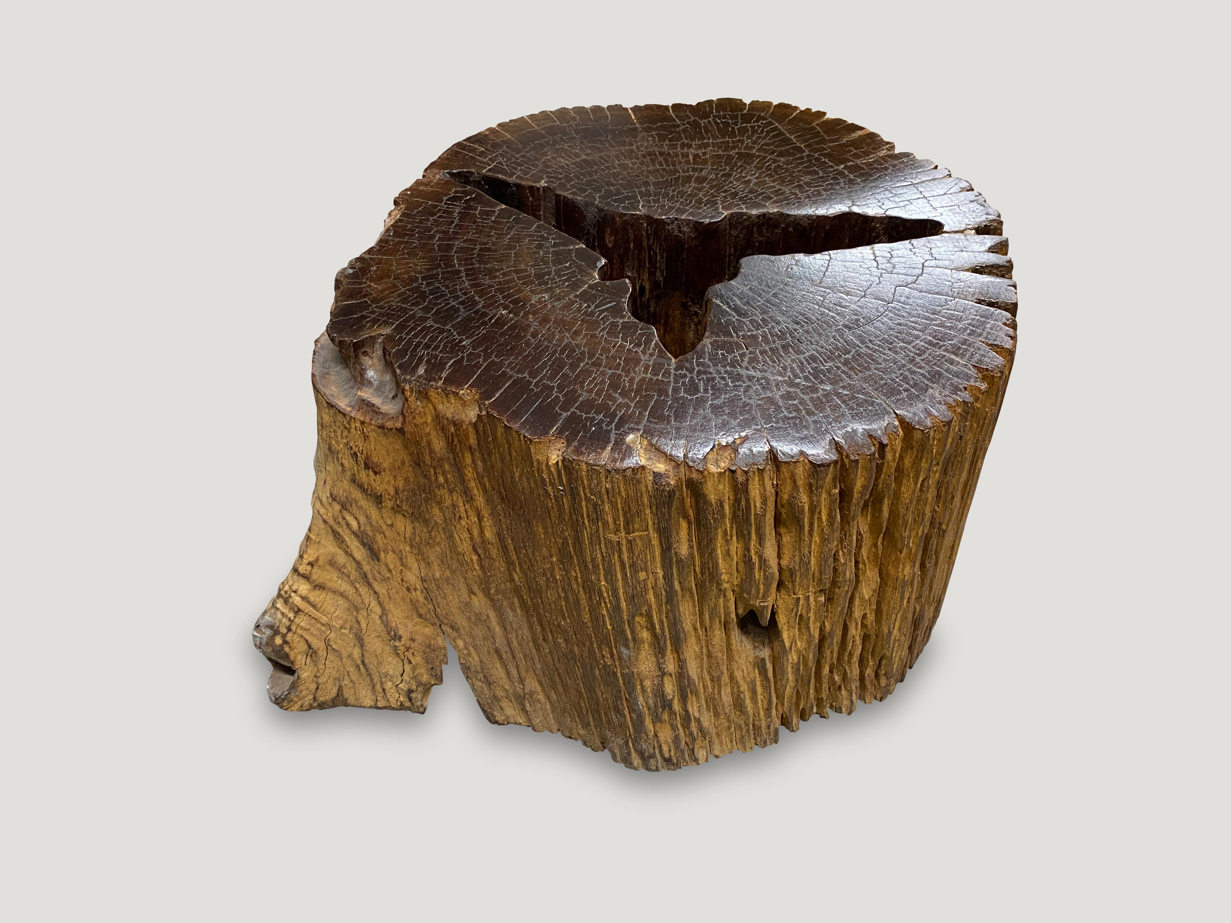 Organic Modern Andrianna Shamaris Iron Wood Side Table For Sale