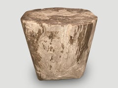 Andrianna Shamaris Large Ancient Petrified Wood Side Table