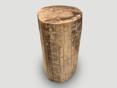 Andrianna Shamaris Large Ancient Petrified Wood Side Table