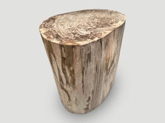 Andrianna Shamaris Large Ancient Petrified Wood Side Table