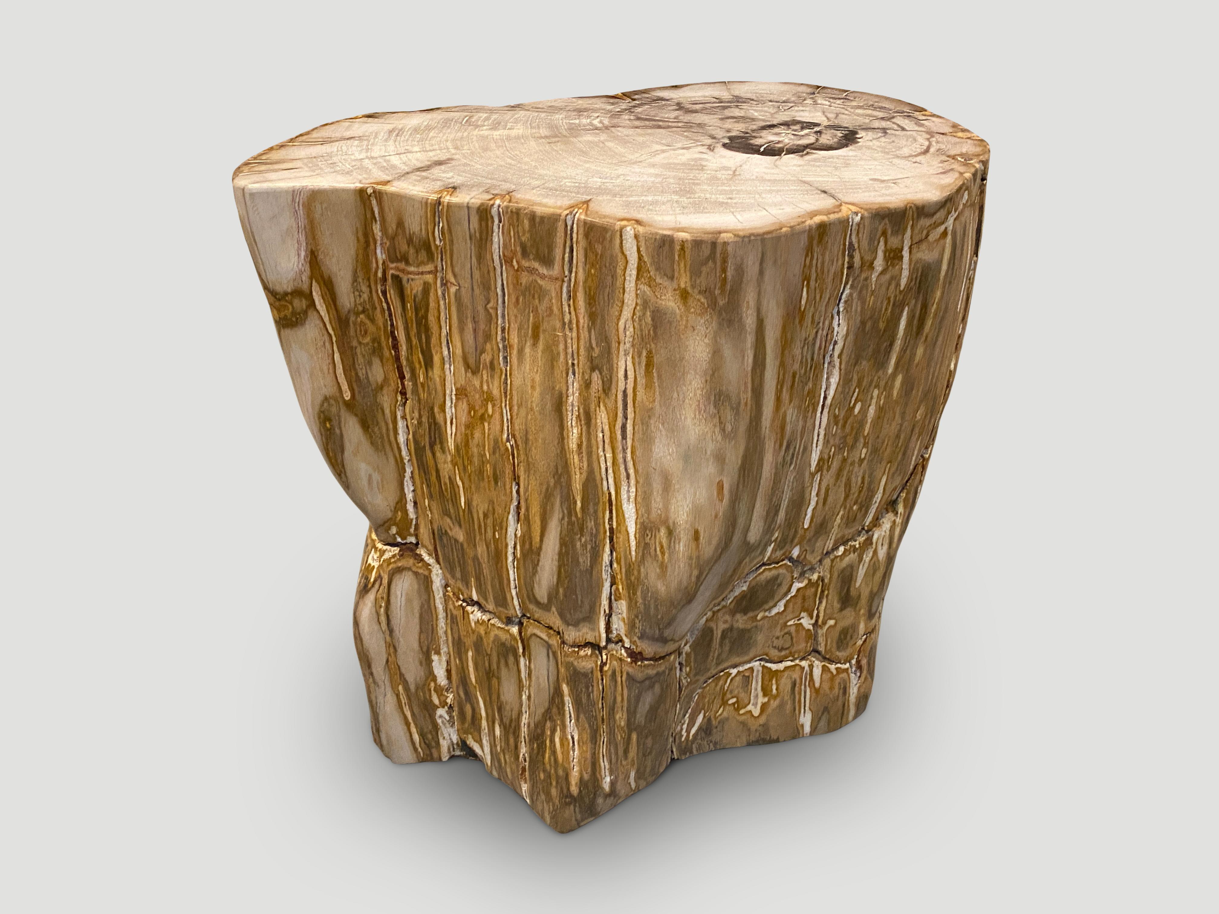 mpressive beautiful contrasting tones and textures on this ancient petrified wood side table. It’s fascinating how Mother Nature produces these exquisite 40 million year old petrified teak logs with such contrasting colors and natural patterns