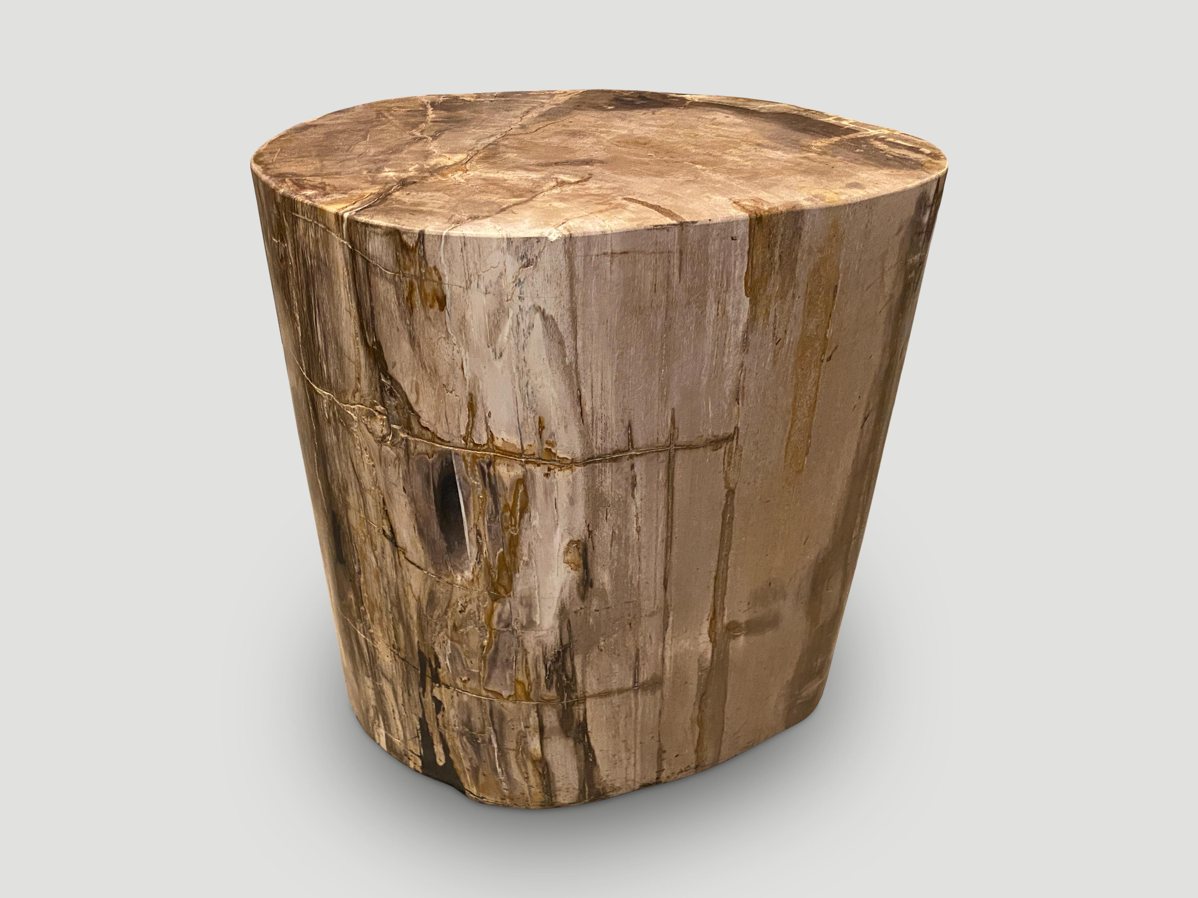 Organic Modern Andrianna Shamaris Large Ancient Petrified Wood Side Table For Sale