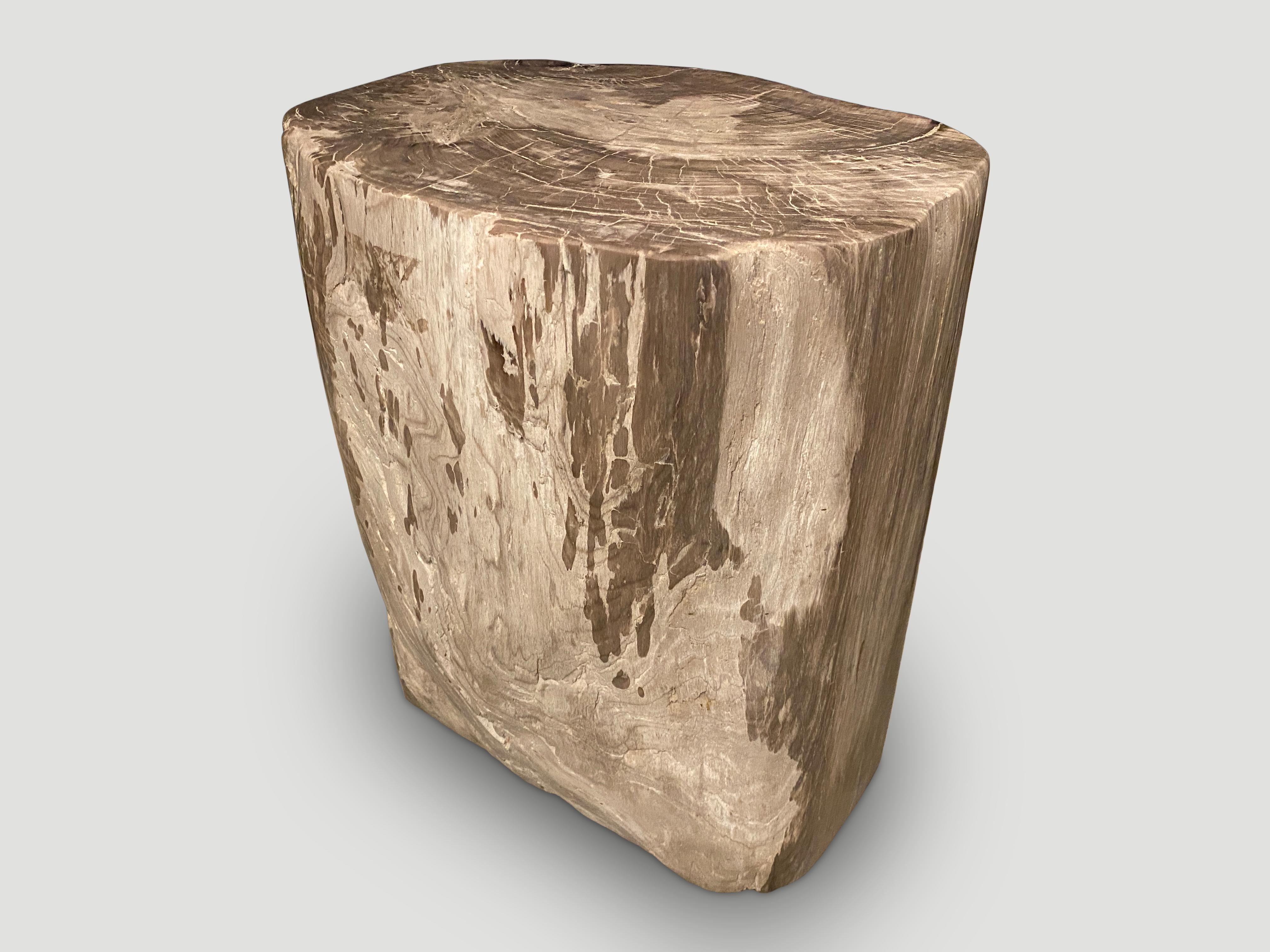 Andrianna Shamaris Large Ancient Petrified Wood Side Table In Excellent Condition For Sale In New York, NY