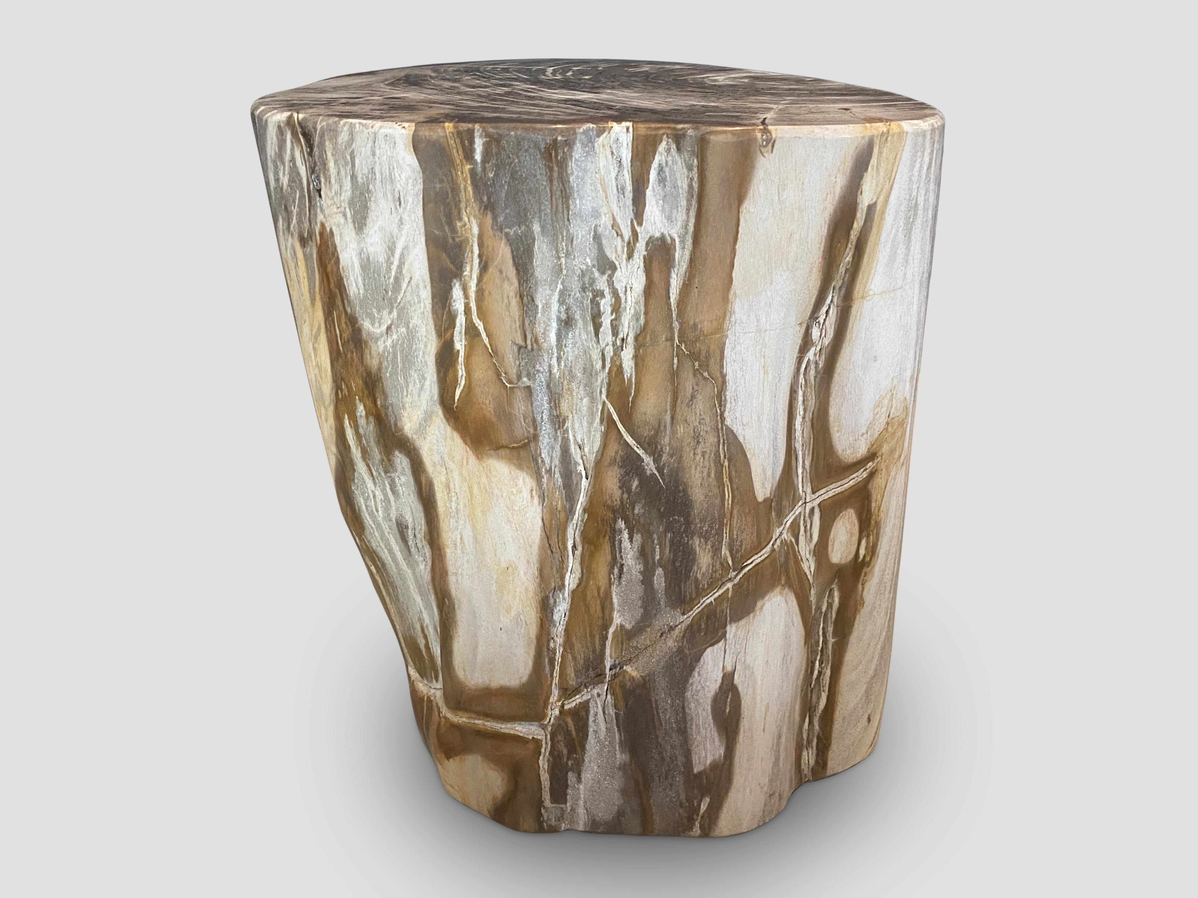 Andrianna Shamaris Large Ancient Petrified Wood Side Table In Excellent Condition For Sale In New York, NY