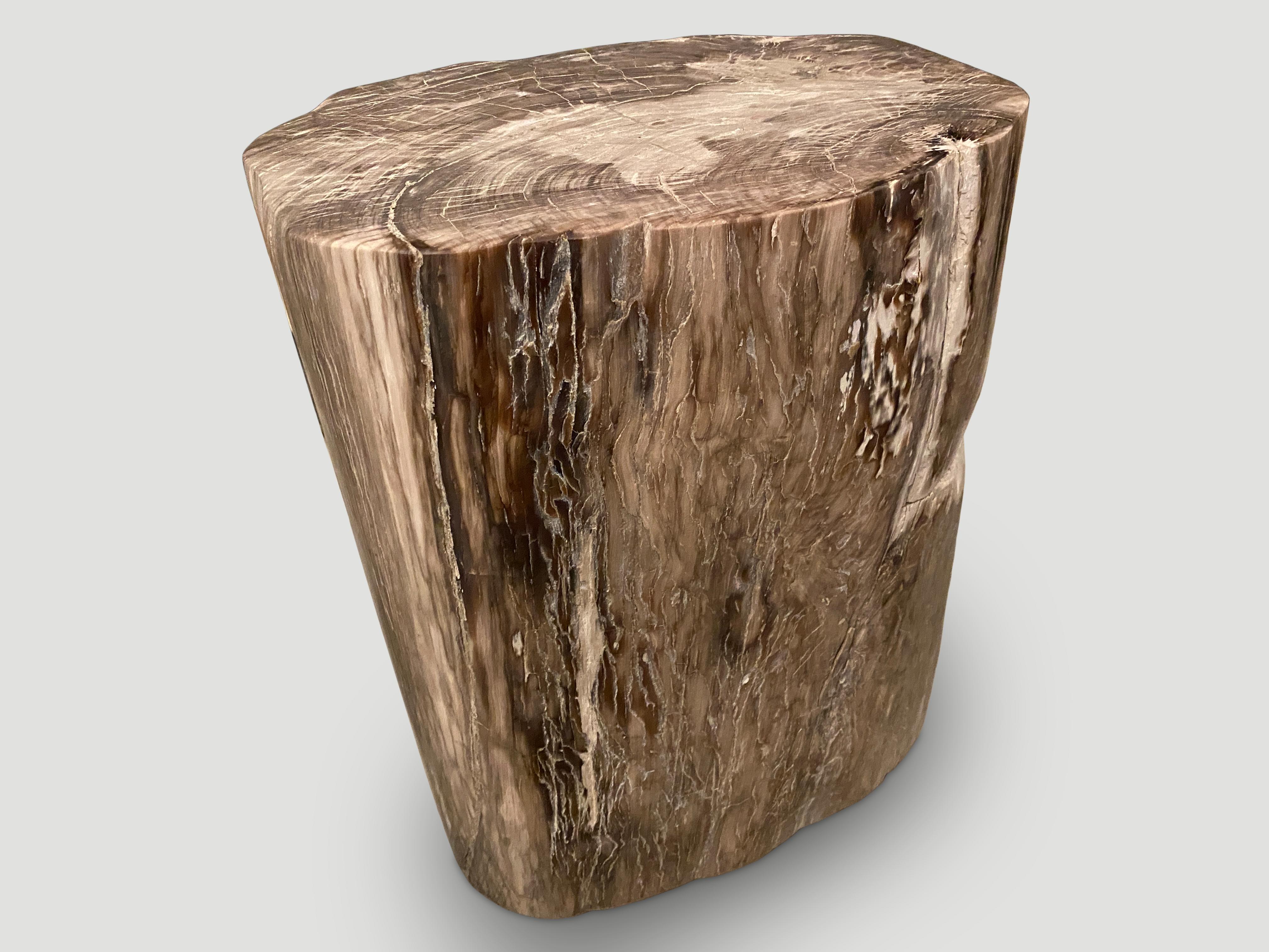 18th Century and Earlier Andrianna Shamaris Large Ancient Petrified Wood Side Table For Sale