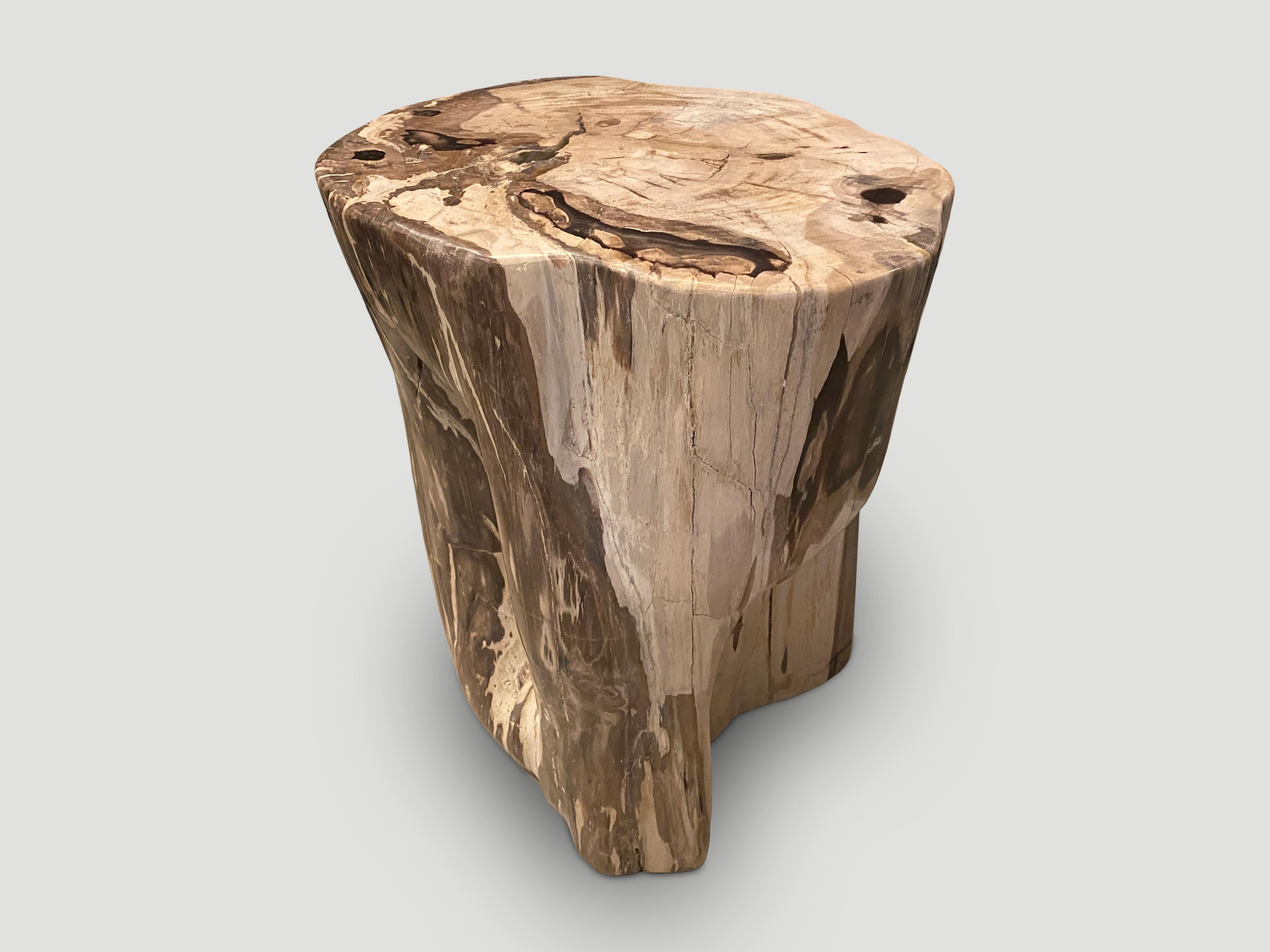 Contemporary Andrianna Shamaris Large Ancient Petrified Wood Side Table For Sale