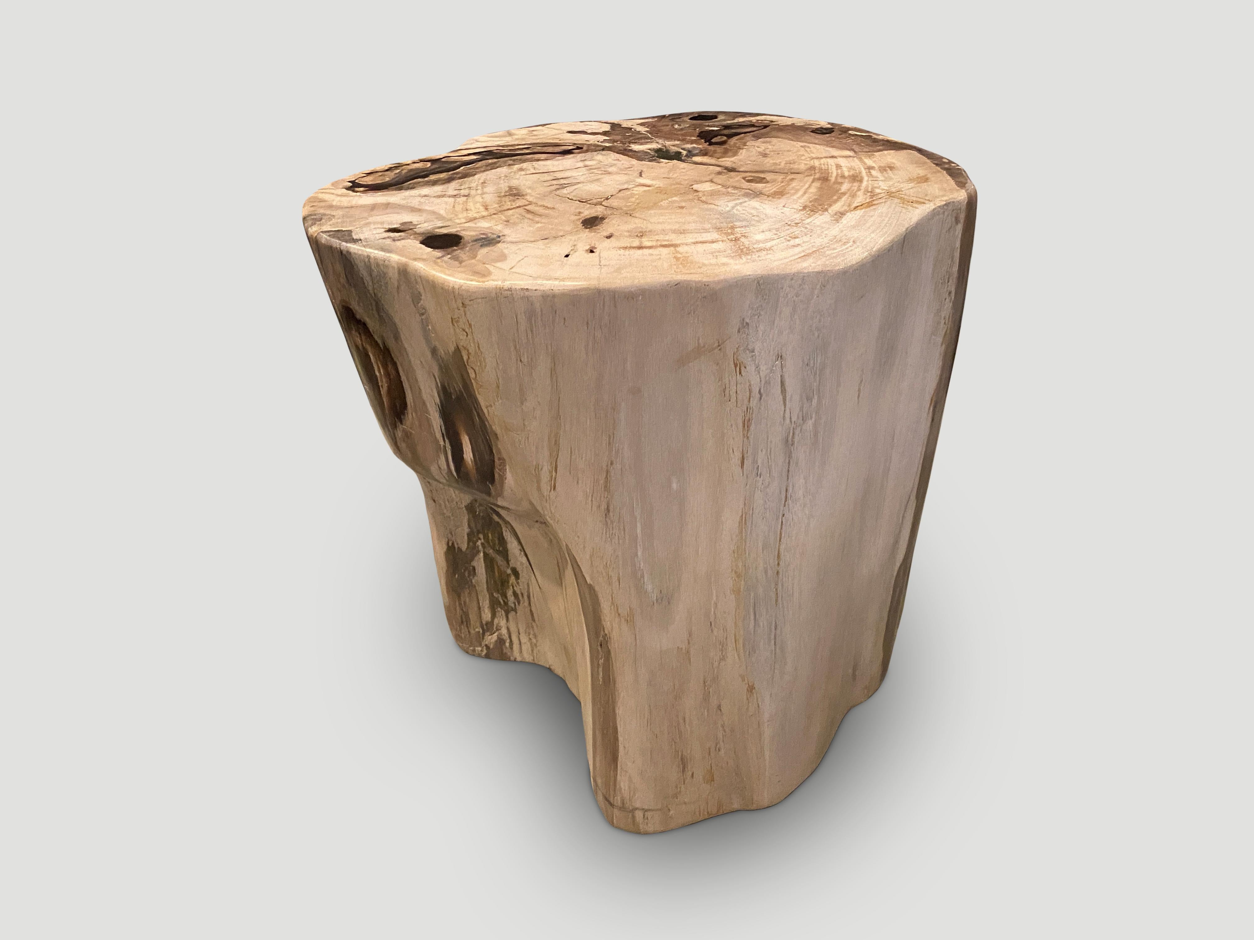 Andrianna Shamaris Large Ancient Petrified Wood Side Table For Sale 1