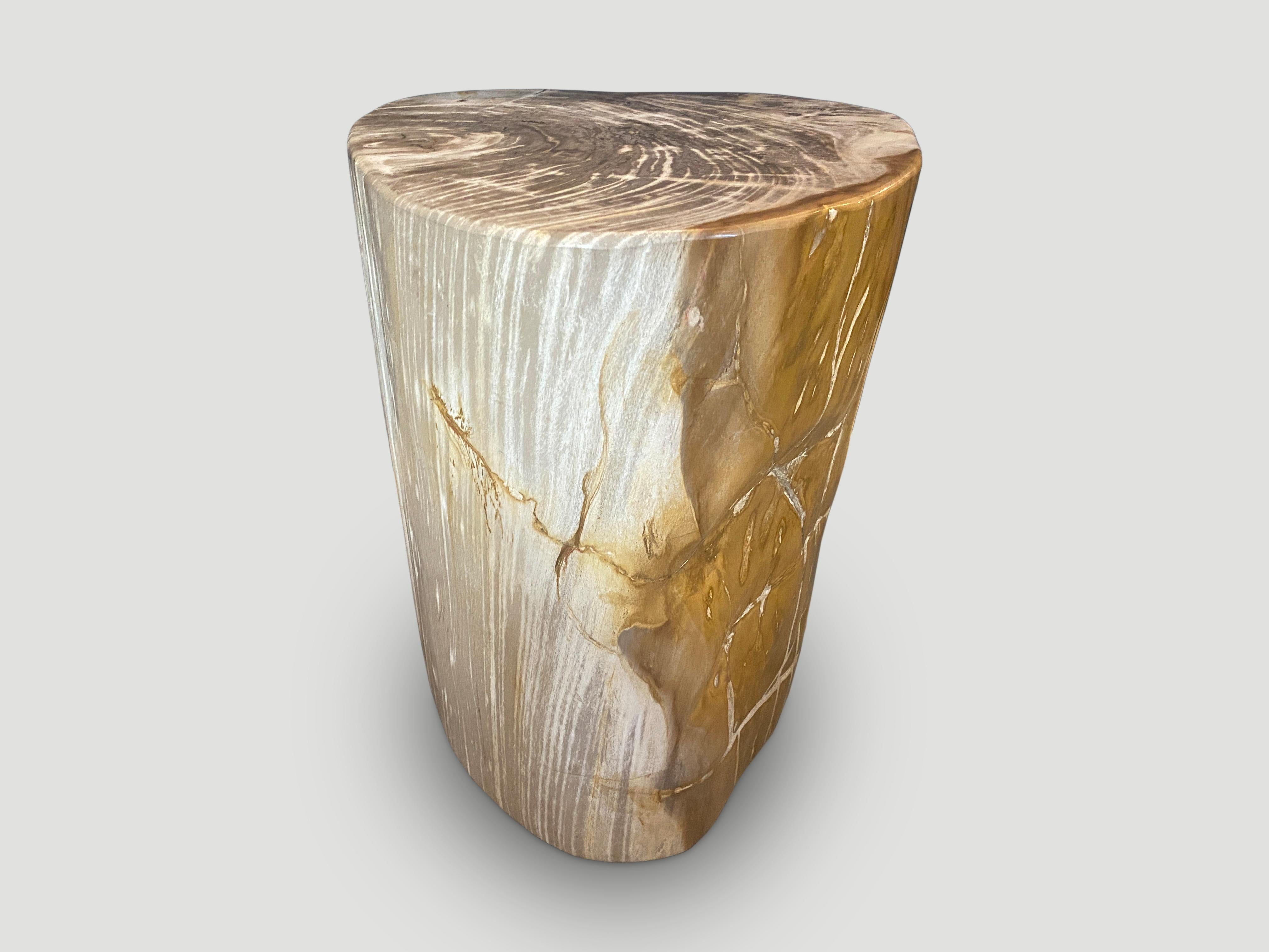 Andrianna Shamaris Large Ancient Petrified Wood Side Table For Sale 1