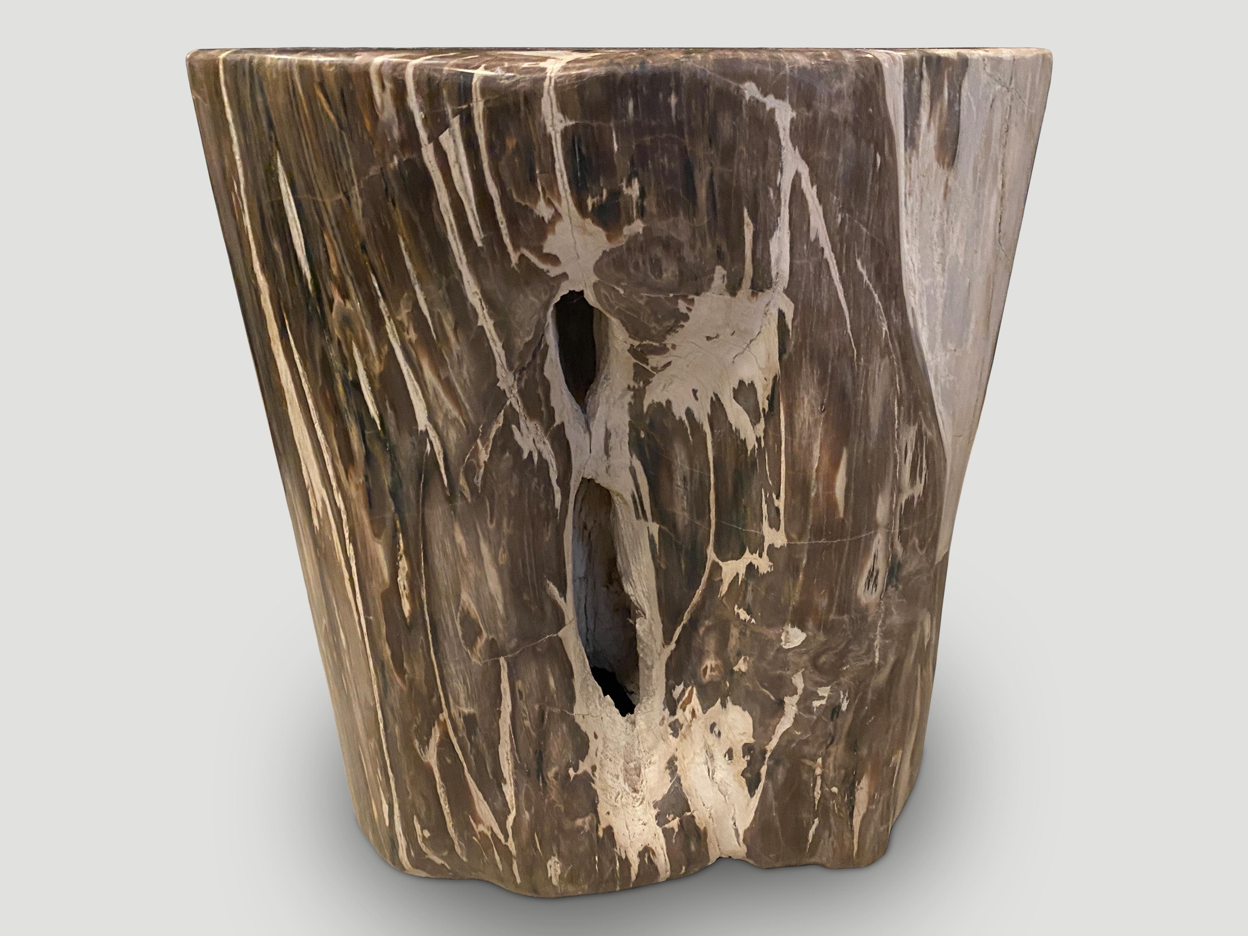 Andrianna Shamaris Large Ancient Petrified Wood Side Table For Sale 2