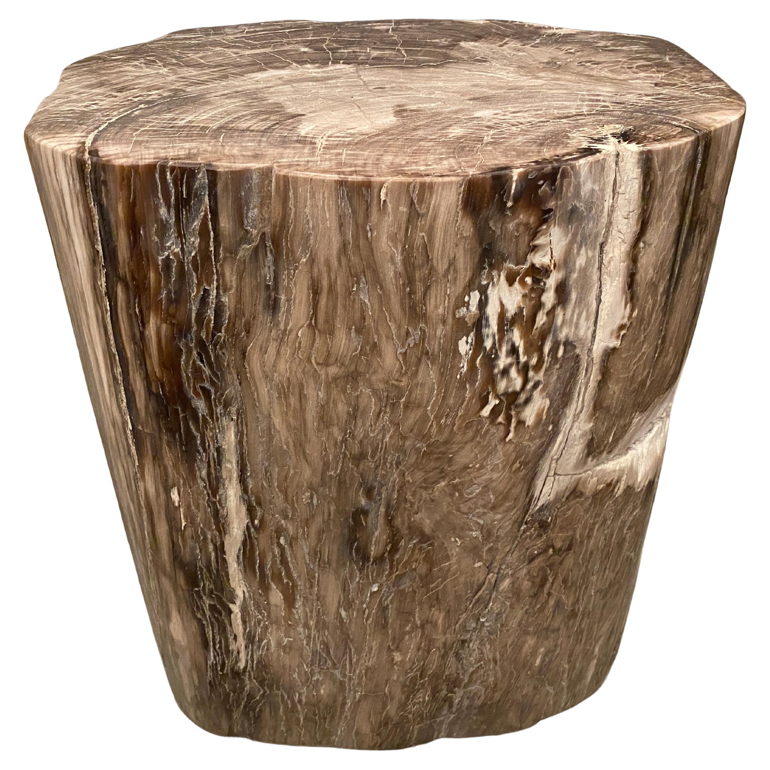 Andrianna Shamaris Large Ancient Petrified Wood Side Table For Sale