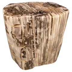 Andrianna Shamaris Large Ancient Petrified Wood Side Table