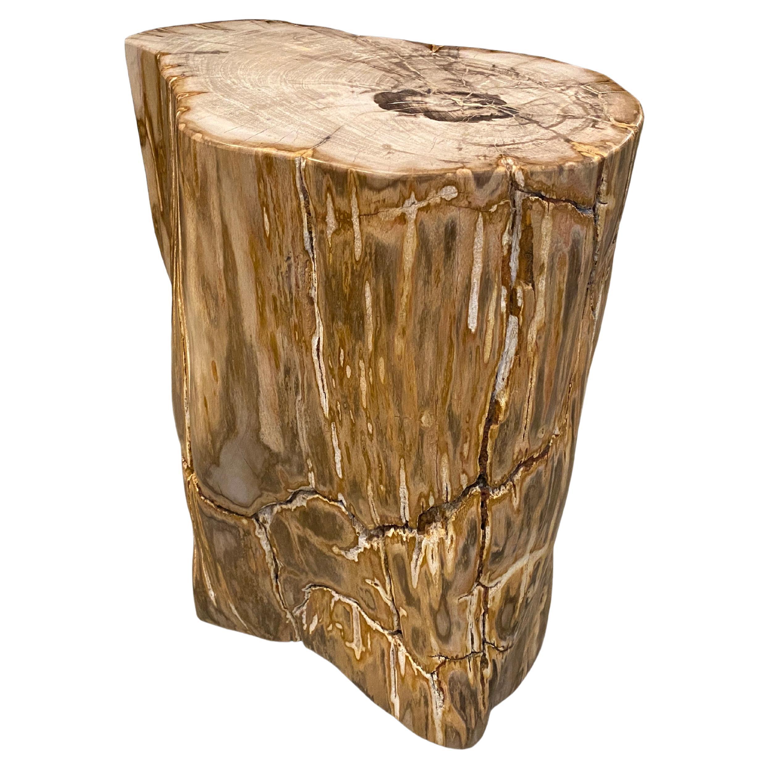 Andrianna Shamaris Large Ancient Petrified Wood Side Table In Excellent Condition For Sale In New York, NY