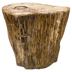 Andrianna Shamaris Large Ancient Petrified Wood Side Table