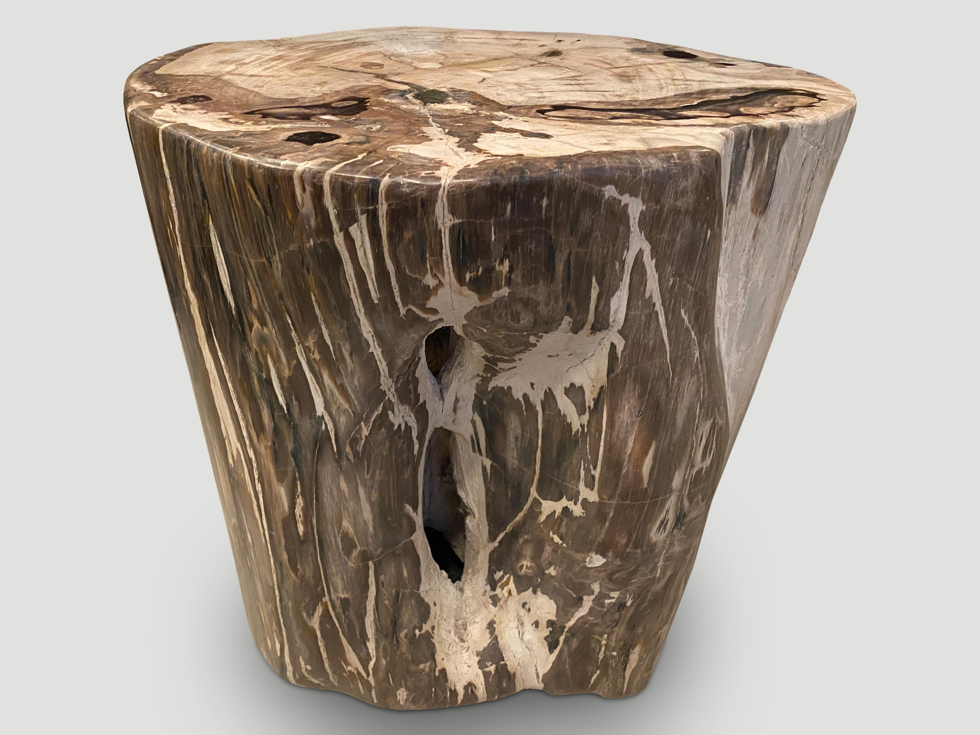 Andrianna Shamaris Large Ancient Petrified Wood Side Table For Sale