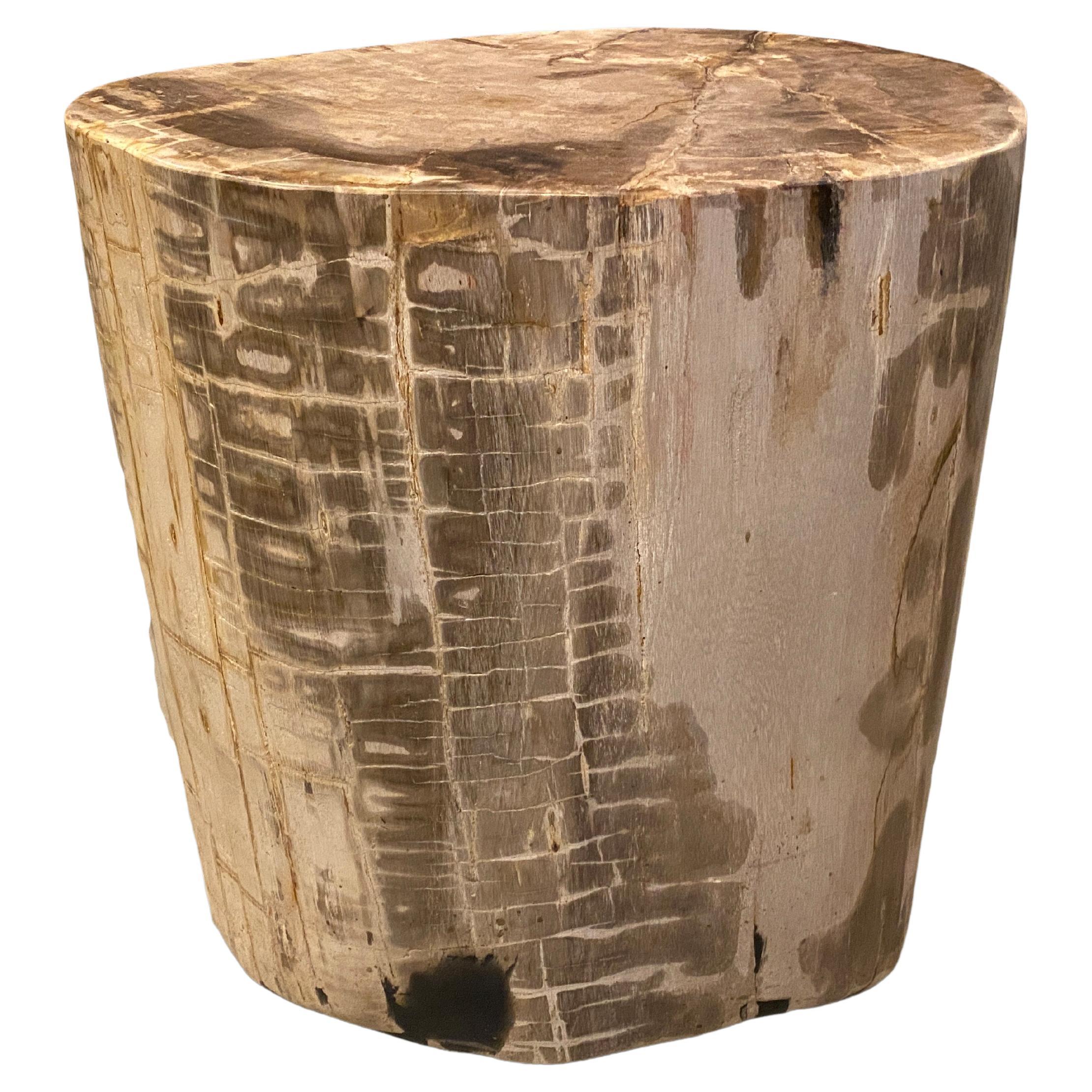Andrianna Shamaris - Grande table d'appoint en bois pétrifié ancien