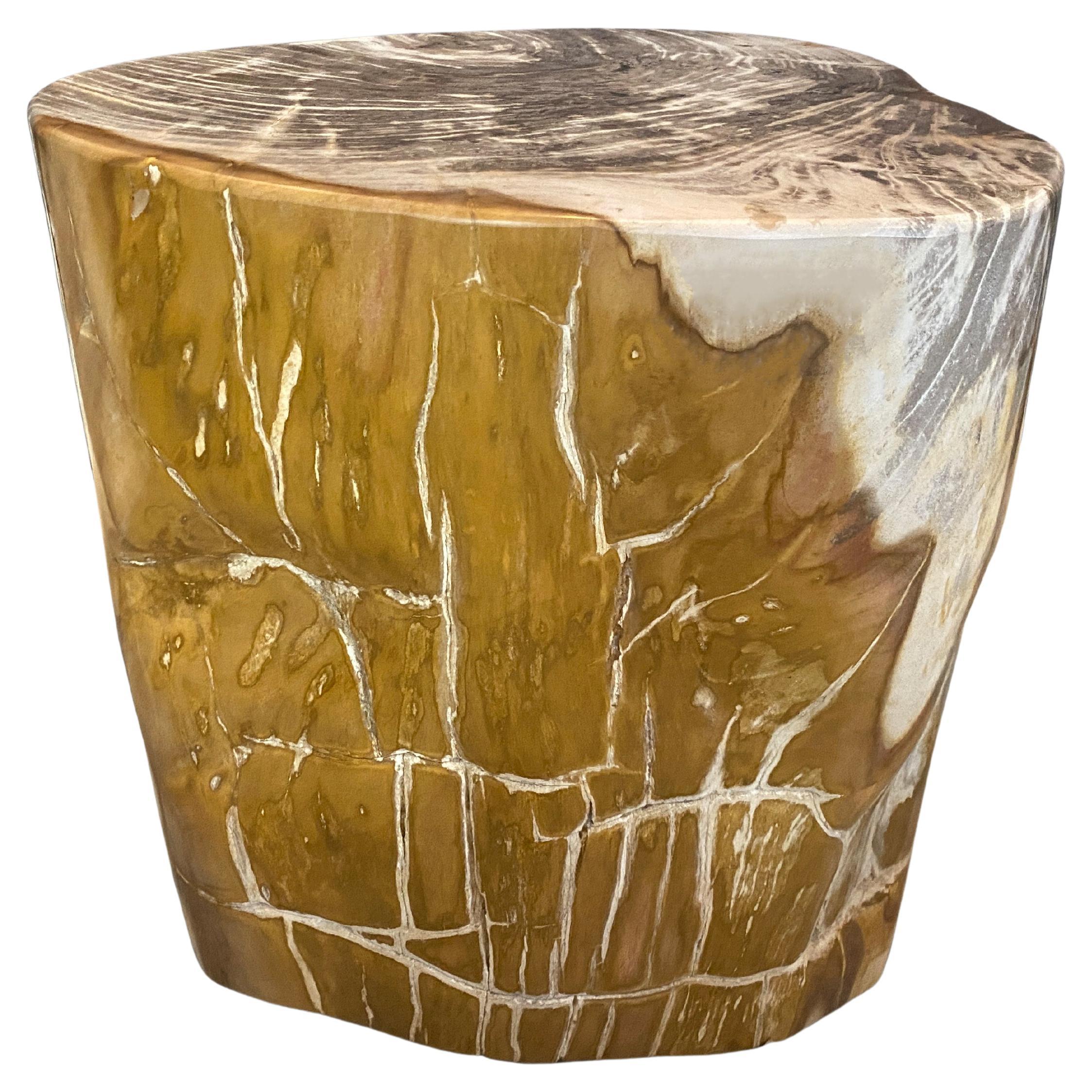 Andrianna Shamaris - Grande table d'appoint en bois pétrifié ancien