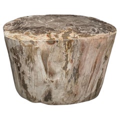 Andrianna Shamaris Large Ancient Petrified Wood Side Table