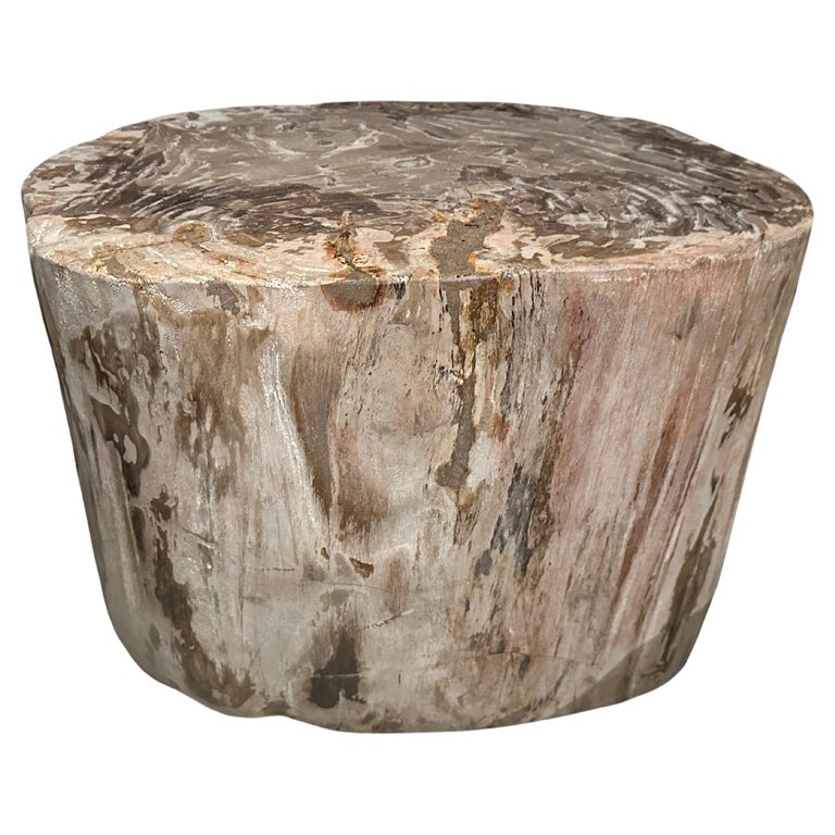 Andrianna Shamaris Large Ancient Petrified Wood Side Table For Sale at