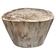 Andrianna Shamaris Large Ancient Petrified Wood Side Table