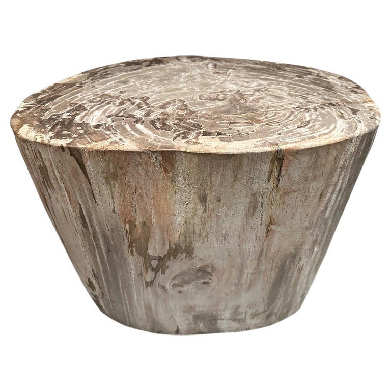 Andrianna Shamaris Large Ancient Petrified Wood Side Table For Sale at