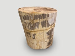 Andrianna Shamaris Large High Quality Petrified Wood Side Table