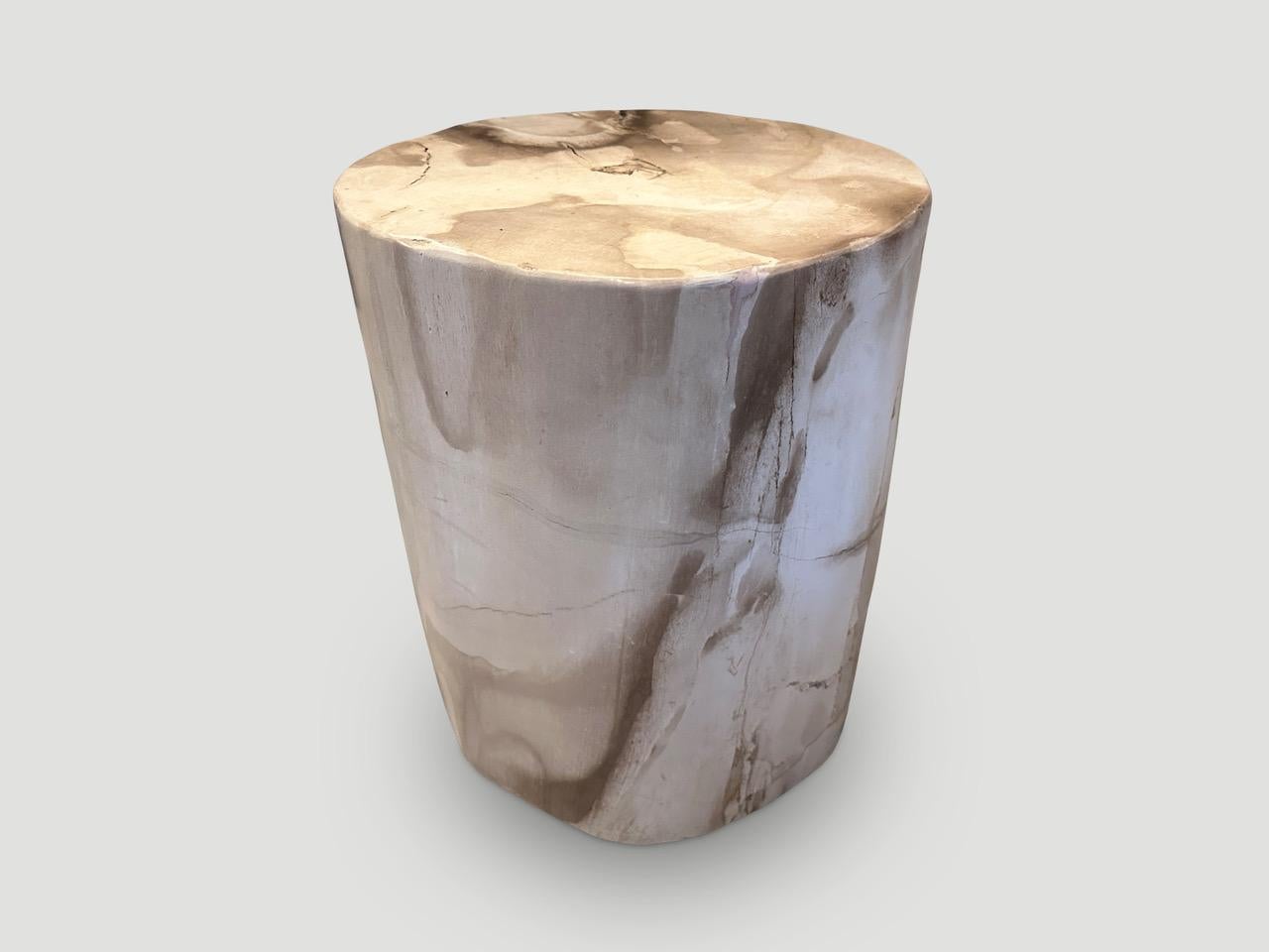 Organic Modern Andrianna Shamaris Large High Quality Petrified Wood Side Table 