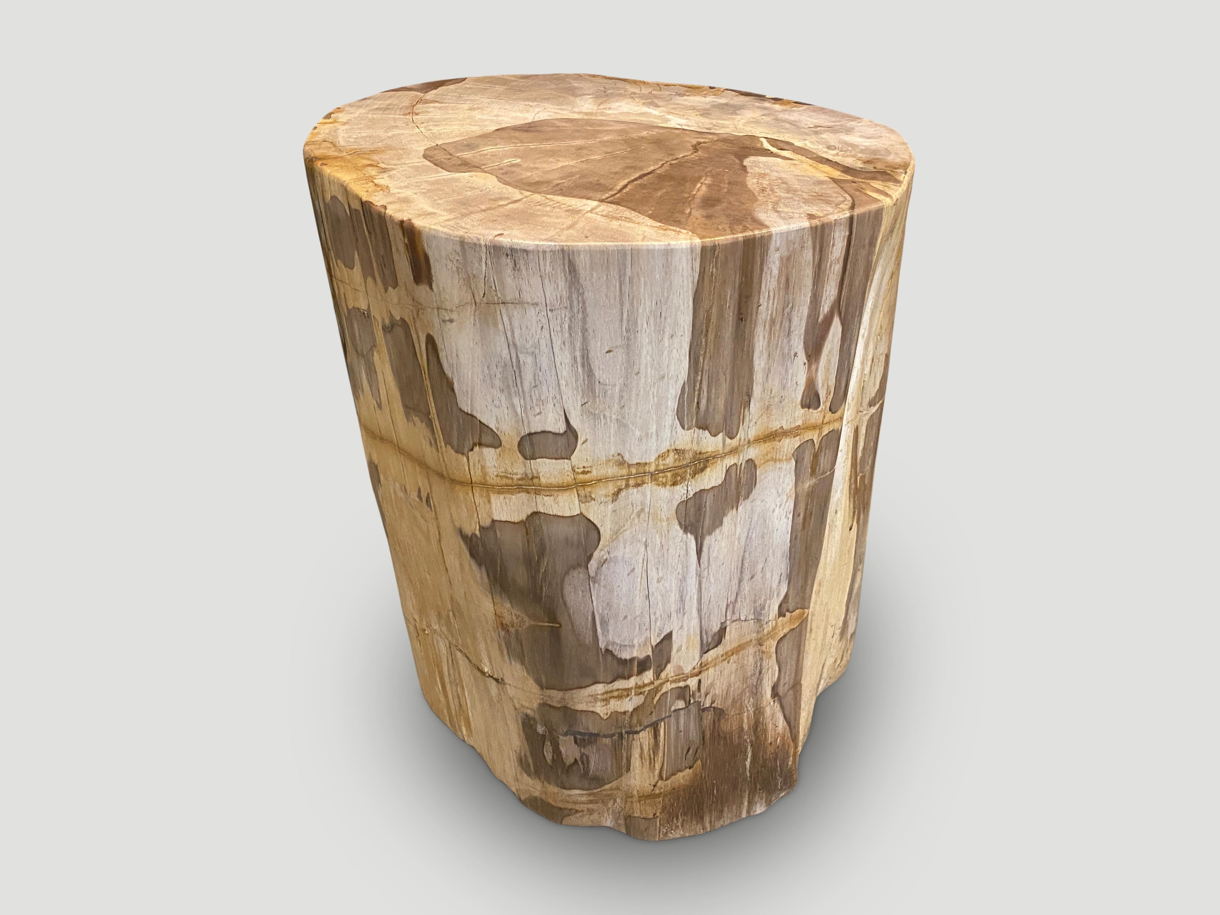 Andrianna Shamaris Large High Quality Petrified Wood Side Table In Excellent Condition For Sale In New York, NY