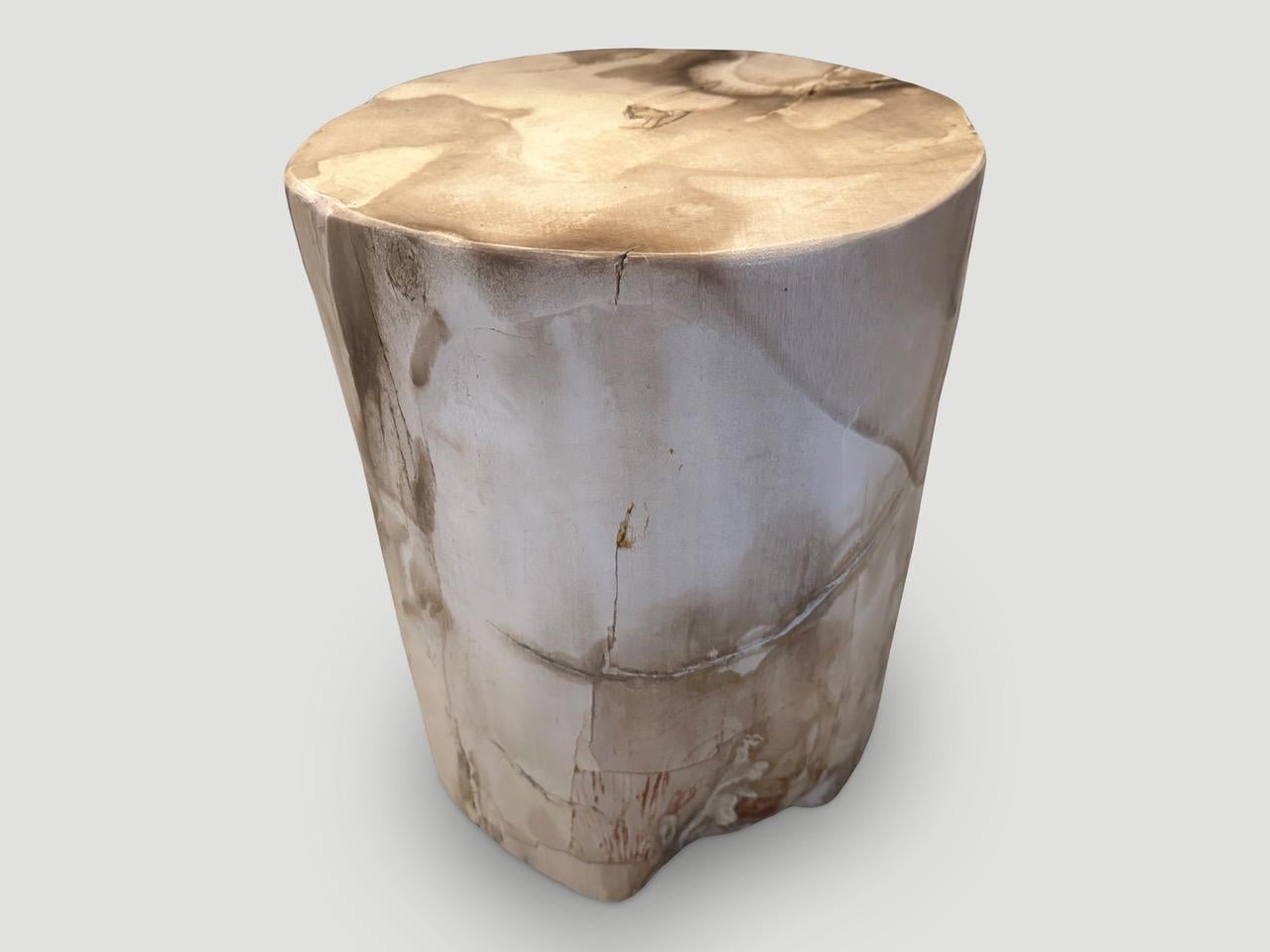 Andrianna Shamaris Large High Quality Petrified Wood Side Table  In Excellent Condition In New York, NY