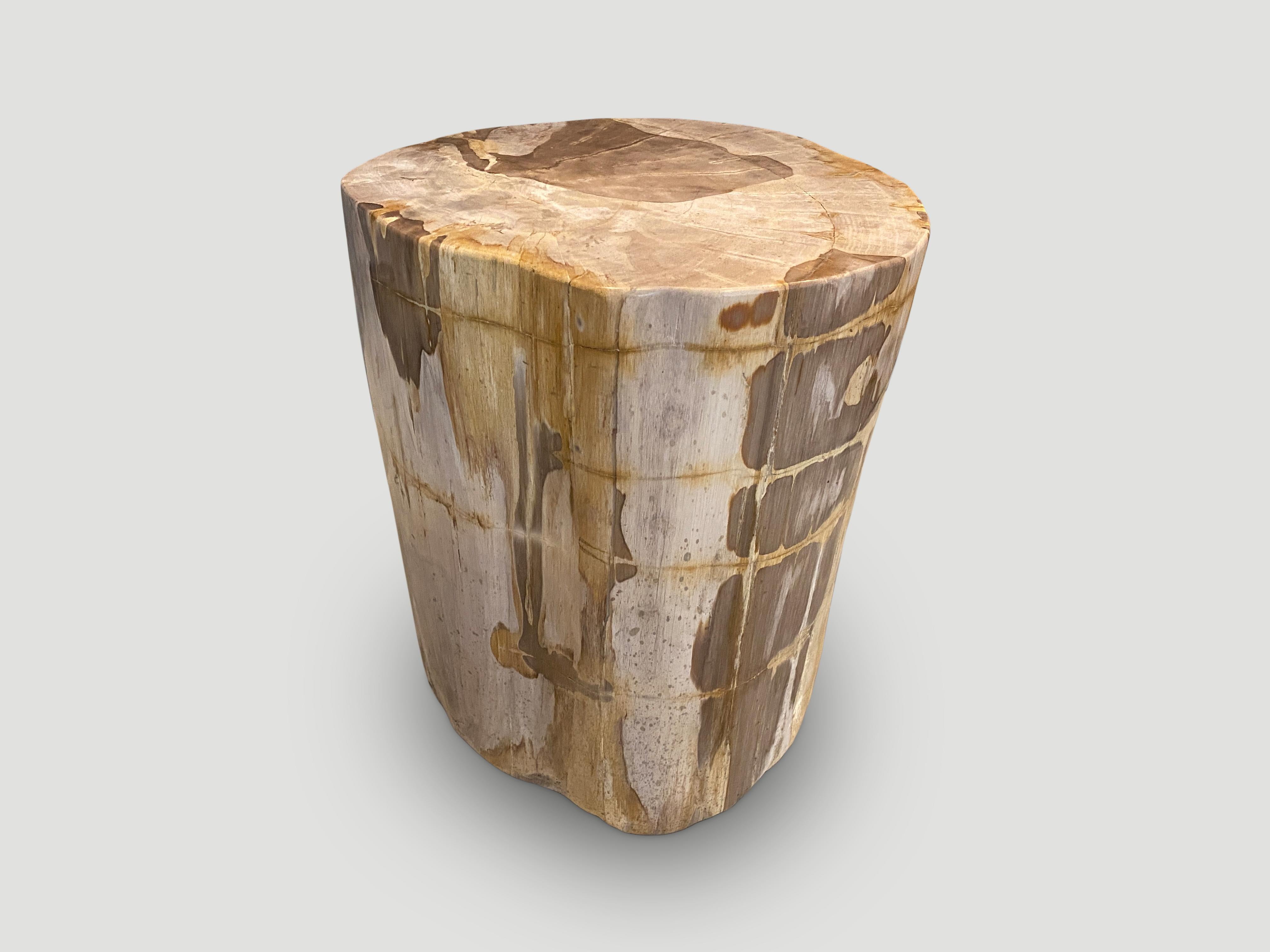 Contemporary Andrianna Shamaris Large High Quality Petrified Wood Side Table For Sale
