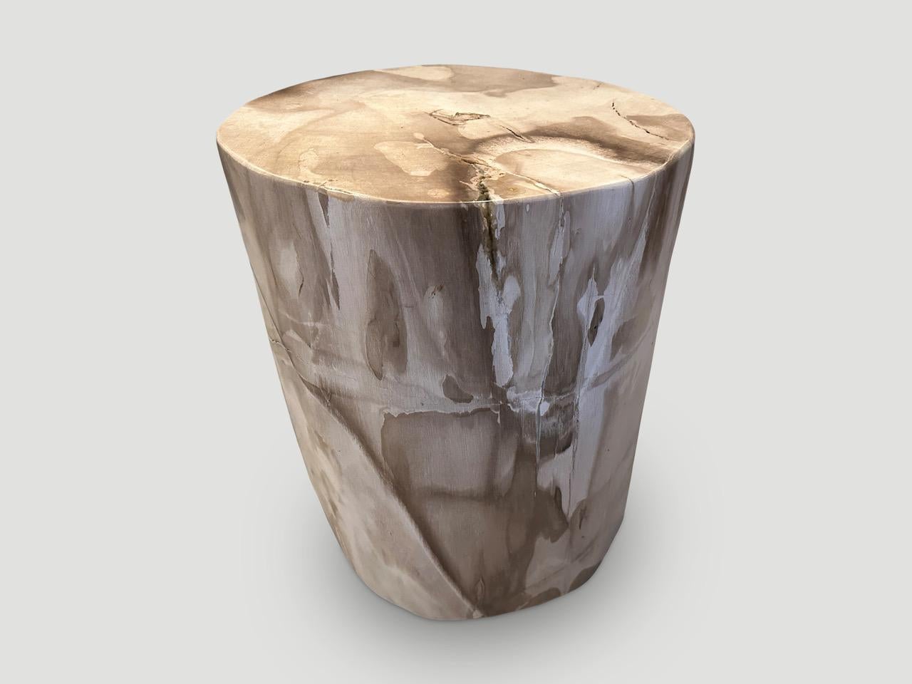 Contemporary Andrianna Shamaris Large High Quality Petrified Wood Side Table 